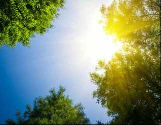 Imagem Ilustrativa da notícia Sensação térmica em diversos estados do País alcança 50º. Saiba como se preparar para a onda de calor